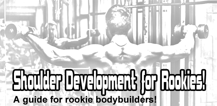 Shoulder Development for Rookies!