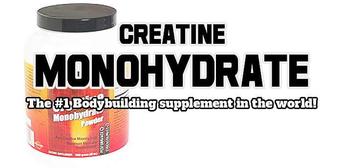 The #1 bodybuilding & sports nutrition muscle building supplement in the world is - Creatine Monohydrate.