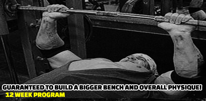 Banging The Bench: Routine #1