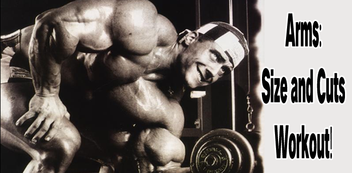 Bodybuilding: Massive Arms Workout