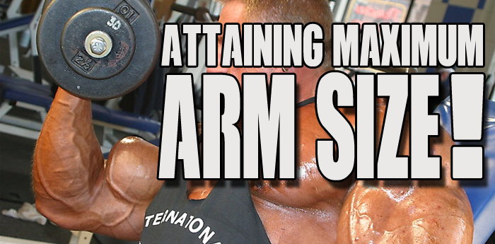 Bodybuilding Workout: Attaining Maximum Arm Size