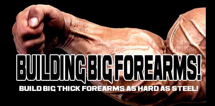 Bodybuilding: Building Big Forearms