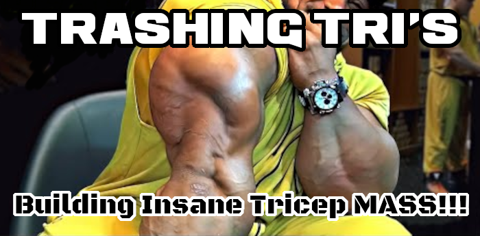 Bodybuilding Workout: Trashing Tri's