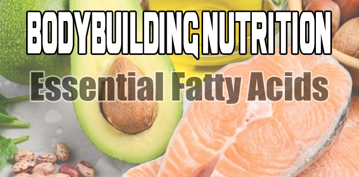 Bodybuilding Nutrition: EFA's - What YOU need to KNOW<