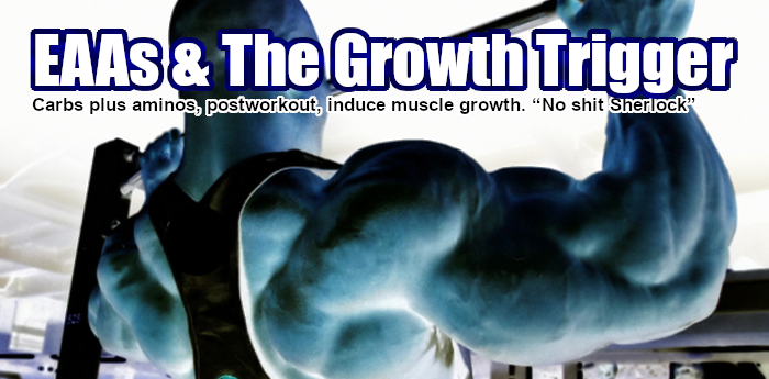 Bodybuilding Nutrition: EAAs & The Growth Trigger