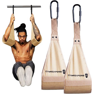 Gymreapers Hanging Ab Straps