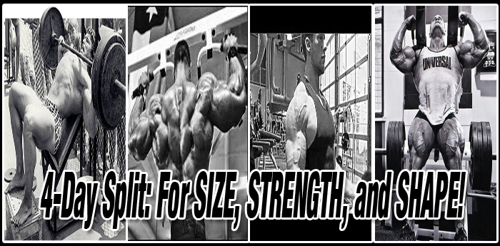4-Day Training: For SIZE, STRENGTH, and SHAPE!