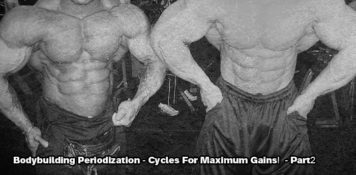 Periodization For Bodybuilding: Part 2!