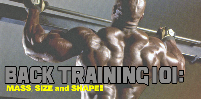 Back Training 101: MASS, SIZE and SHAPE