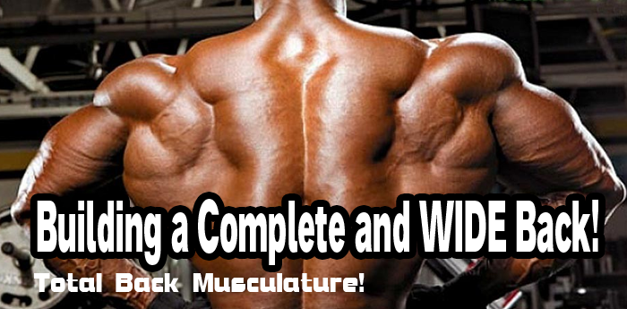 Building a Complete and WIDE Back!