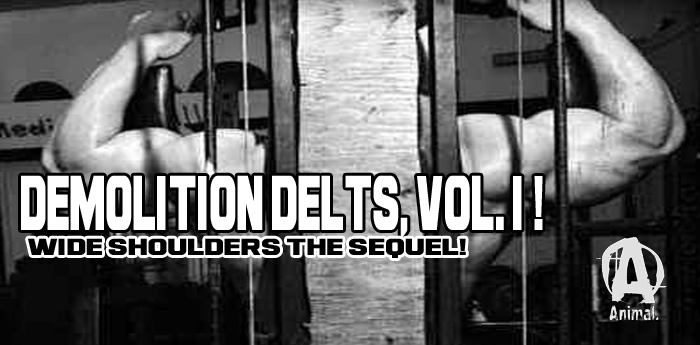 Demolition Delts, Vol. 1