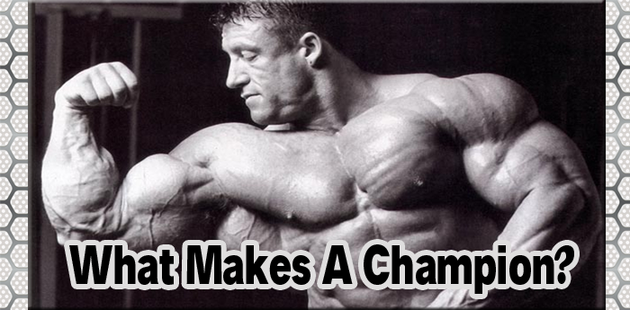 What Makes A Champion?