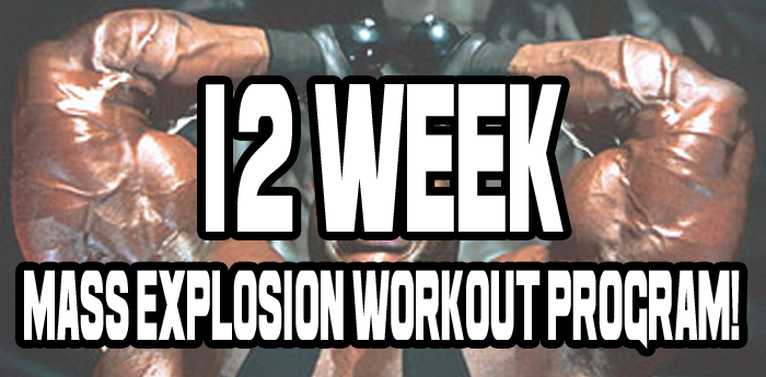 12 Week Bodybuilding Mass Explosion Workout Program