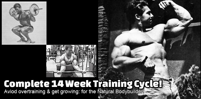 Stop Overtraining and Start Growing!