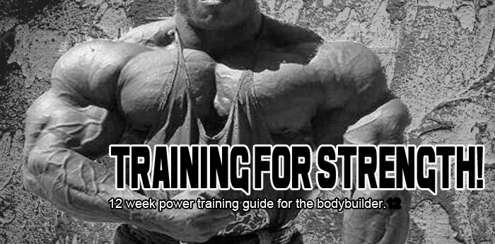Training For Strength - Bodybuilders strength training program!