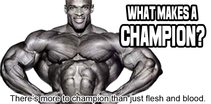 Bodybuilding: What Makes A Champion?
