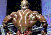 Ronnie Coleman - Olympia 2004