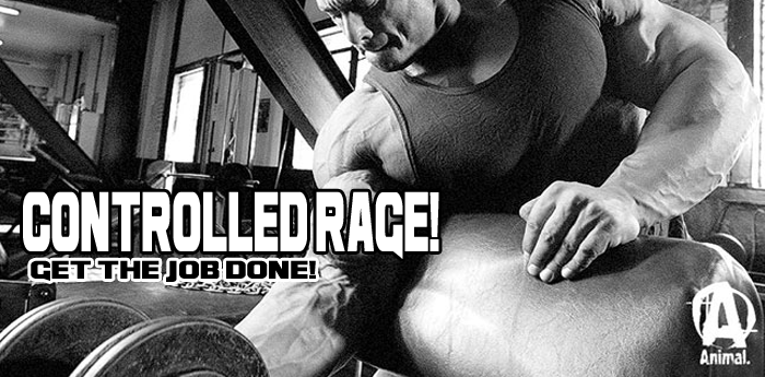 Controlled Rage