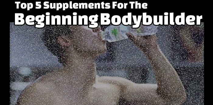 Top 5 Supplements for The beginning bodybuilder
