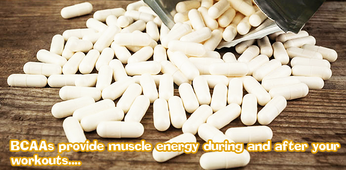 Bodybuilding Nutrition: Branch Chain Amino Acids