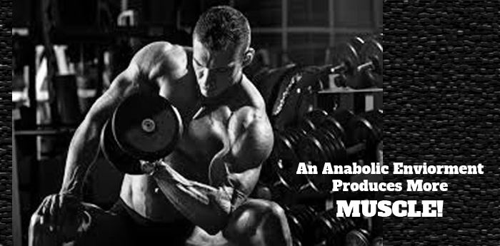 Amino Anabolic - Keep your body Anabolic