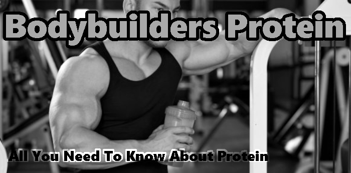Bodybuilders Protein