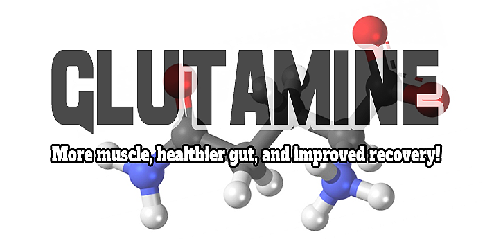 The uses and power of the most abundant amino acid with in the human body, glutamine can help you build more muscle, improve gestational health of your gut and increase workout recovery.