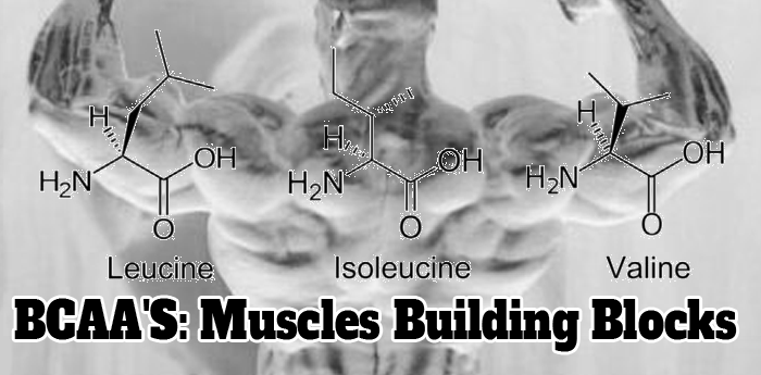 BCAA'S: Muscles Building Blocks