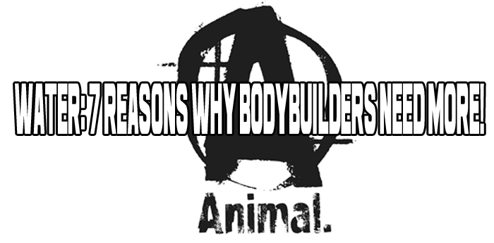 Water: 7 Reasons Why Bodybuilders Need More