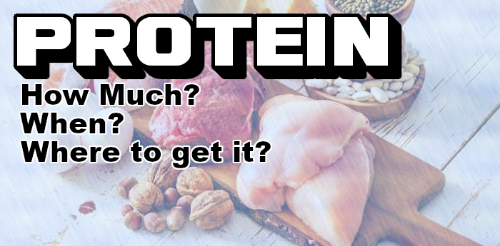 Protein: How Much? - When? - Where to get it?