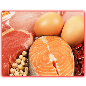 Top Animal Protein Sources