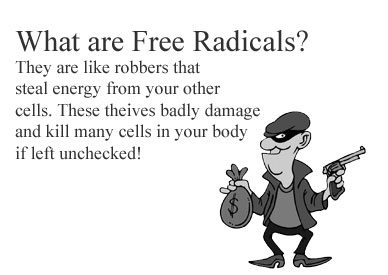 What are free radicals?