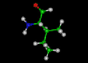 L-Isoleucine Protein Molecule