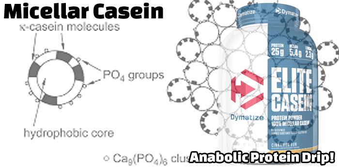 Micellar Casein