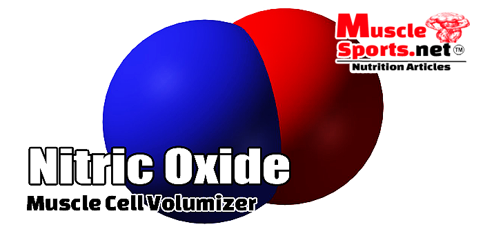 Nitric Oxide