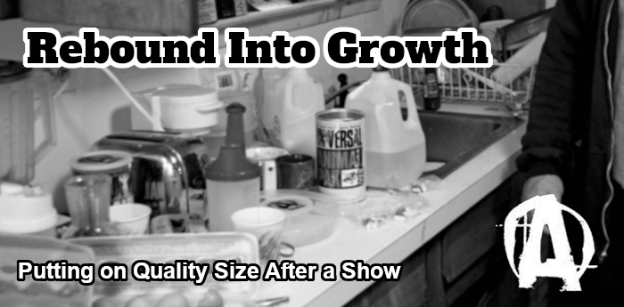 Rebound Into Growth