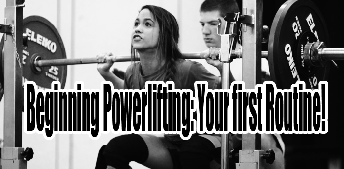 Beginning your powerlifting training with the foundation program that has help hundreds get off on firm footing!