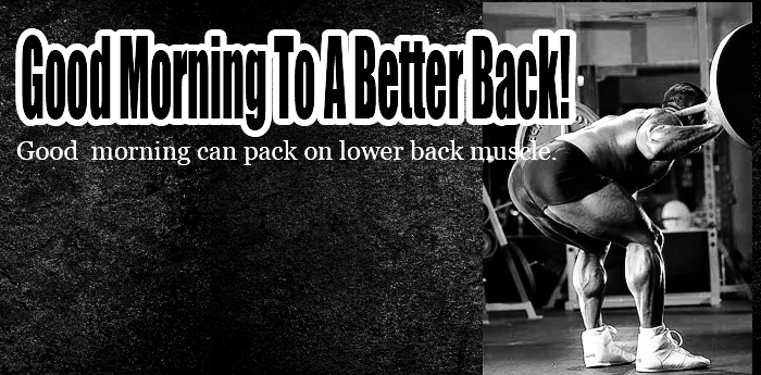 Good Morning To A Better Back