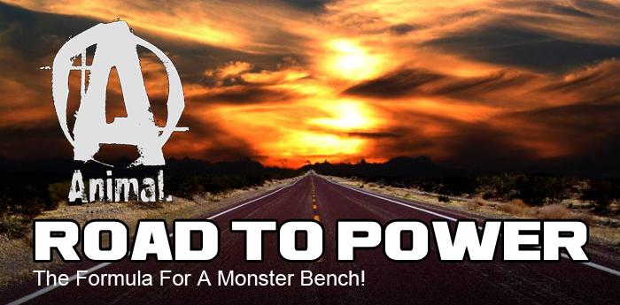 Road To Power: The Formula For A Monster Bench!