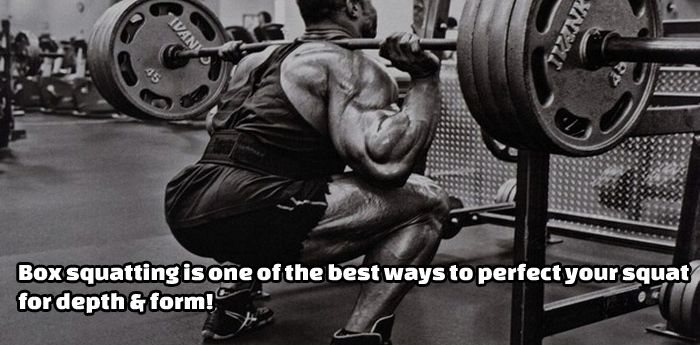 Lets Box Squat