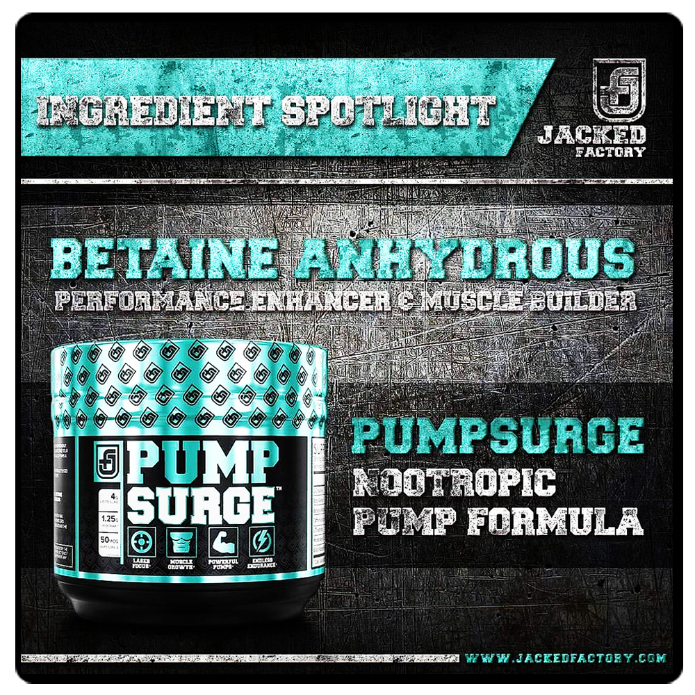 JACKED FACTORY PUMPSURGE - Caffeine Free Pump & Nootropic Pre Workout Supplement!