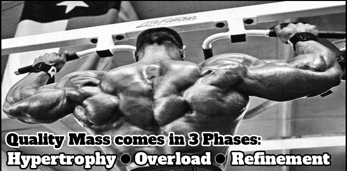 Bodybuilding: 3 Phase Mass Workout