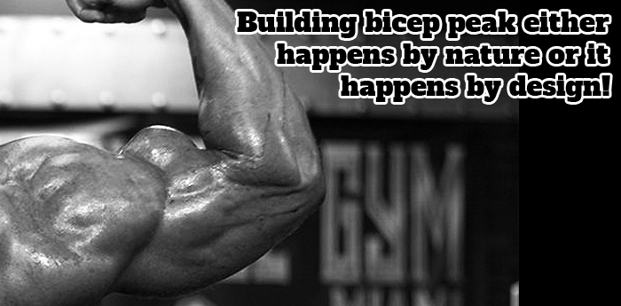Tips to Building Biceps Peak
