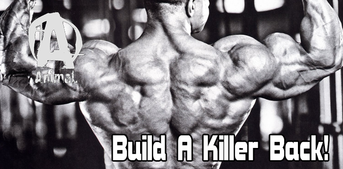 Build A Killer Back