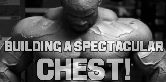 Building a Spectacular Chest!