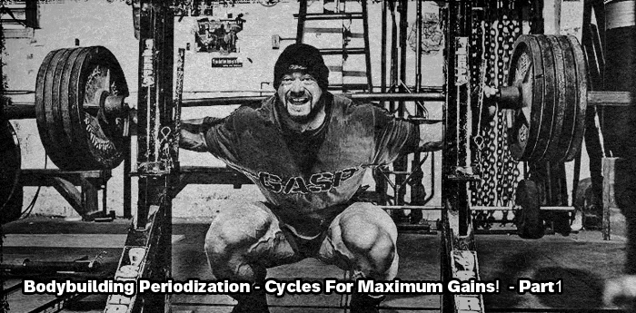 Bodybuilding Periodization - Part 1