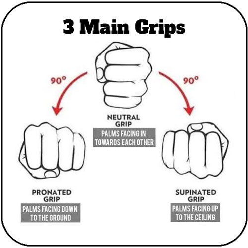 3 Main Grips