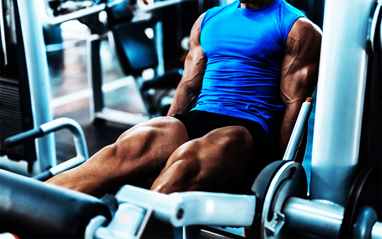 Leg Extensions