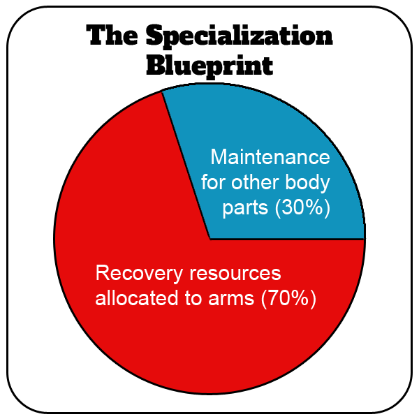 Specialization Blue Print - Arms