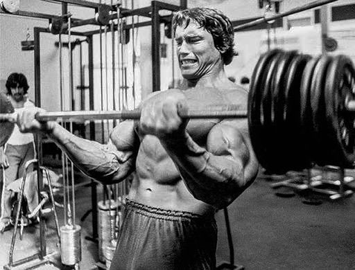 Straight Bar Barbell Curl
